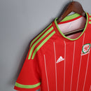 País De Gales I 2015 Hombre (Retro)